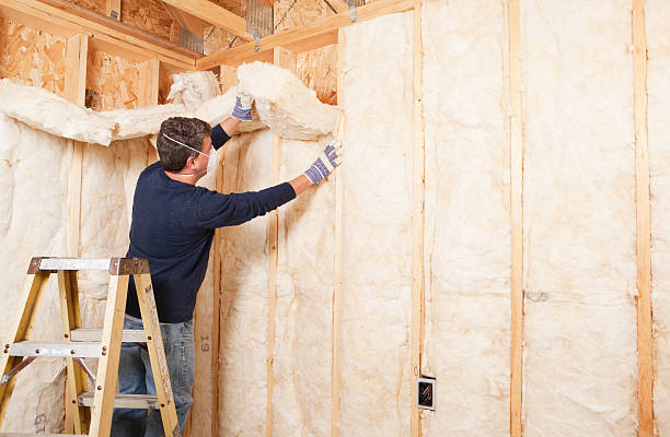 Best Insulation Replacement  in Shallowater, TX